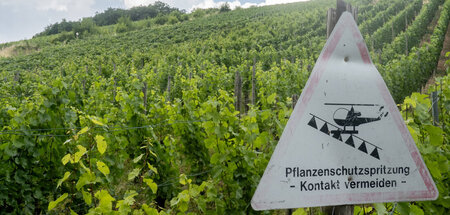 Glyphosat ist das meistverkaufte Pestizid der Welt und tötet jed...