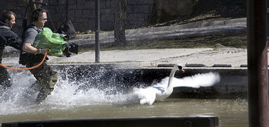 Mein lieber Schwan: »Ein Augenblick Freiheit« (Making of) Mein lieber Schwan: »Ein Augenblick Freiheit« (Making of)