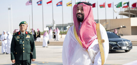 Der saudische Kronprinz erwartet Besuch aus den Vereinigten Arab
