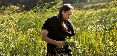 Grashalme: Sean Sherman bei der Zutateninspektion
