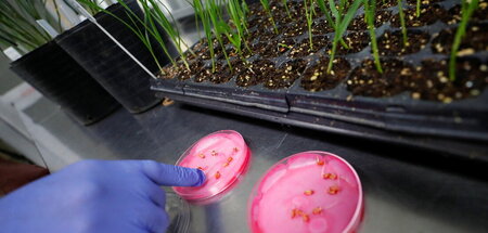 Fehlende Risikoprüfung und Kennzeichnung: Kritik an Produkten au...