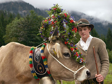 »Das Allgäu – Im Land des Märchenkönigs«