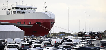 Im schwedischen Malmö wurde der Hafen bereits bestreikt, nun sol...
