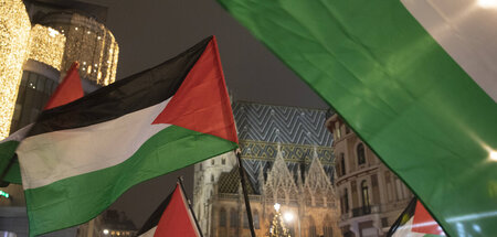»Bewusst falsch berichtet«: Palästina-Fahnen vor dem Stephansdom...