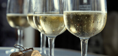 Grand Vin de Champagne frisch serviert: »Re: Ausgebeutet für Cha...