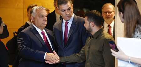 Zögerlicher Handschlag: Der ungarische Premier Orbán (l.) und Uk...