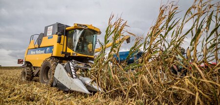 Futtermittel für die Tierfabriken: Maisernte auf einem Feld bei ... Futtermittel für die Tierfabriken: Maisernte auf einem Feld bei ...