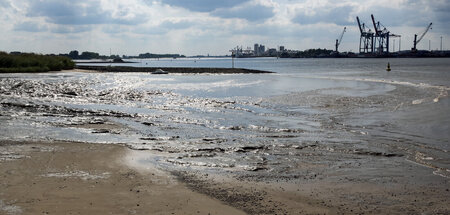 Nach Flut kommt Ebbe: Weser mit Seehafen Brake im Hintergrund