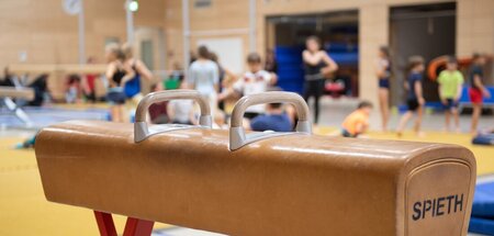 »Der Sportunterricht ist zu einem Zufallsprodukt verkommen« – Da... »Der Sportunterricht ist zu einem Zufallsprodukt verkommen« – Da...