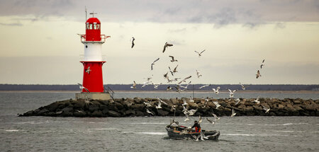 Der Job wirft immer weniger ab: Küstenfischerei vor der Mole War...