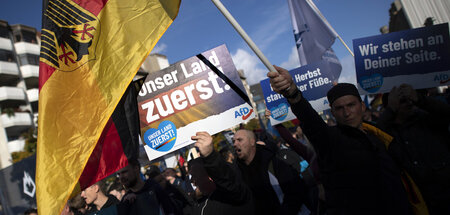 Antreiberrolle für eine Rechtsentwicklung: Anhänger der AfD in B...