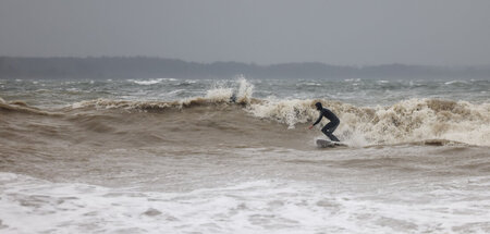 Olaf, du hier? Surfer an der Ostsee (20.10.2023)