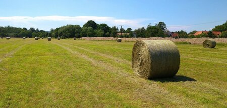 Ökologisch und nachhaltig zu produzieren sollte extra vergütet w...