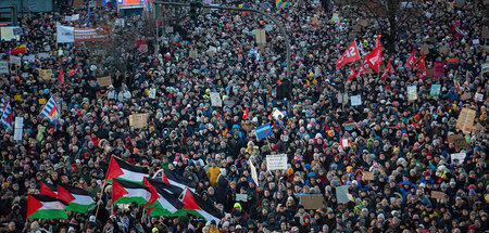 Auch in anderen Städten gab es propalästinensische Demonstranten...