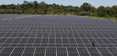 Lula will das Land an die »Spitze des ökologischen Wandels« brin...