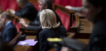 Marine Le Pen hat ihre Gründe, der AfD zumindest öffentlich die ... Marine Le Pen hat ihre Gründe, der AfD zumindest öffentlich die ...