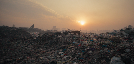 Die Schnauze voll: Plastik Die Schnauze voll: Plastik