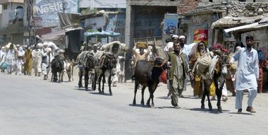 Auf der Flucht: 3,4 Millionen Pakistani wurden bisher gezwungen,... Auf der Flucht: 3,4 Millionen Pakistani wurden bisher gezwungen,...