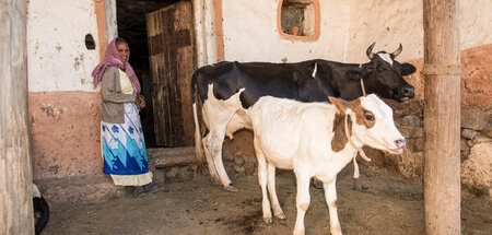 Weniger ist mehr: Die von der Regierung unterstützten Bauern sol...