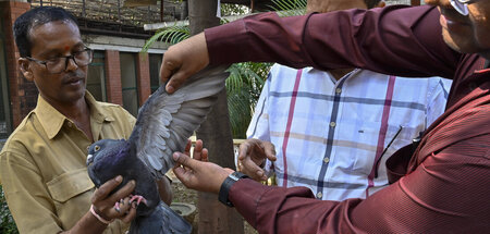 Erkennungsdienstliche Behandlung (Mumbai, 30.1.2024)