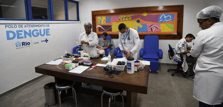 Hoffnung im Kampf gegen Dengue: Eine spezielle Ambulanz in Rio d...