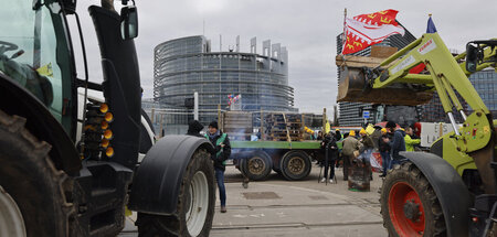 Moskau lenkt den Klimawandel und die Bauern. Einige protestierte...
