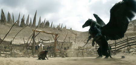 Mit so einem Pferdegreif ist beim Rodeo nicht zu spaßen