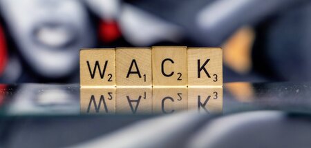 SPON-Kolumnist mit vier Buchstaben