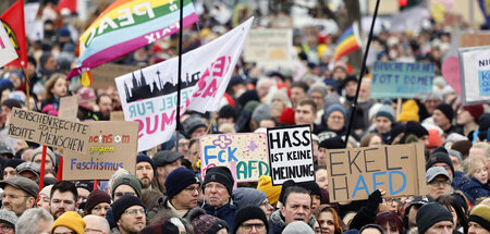 Mittlerweile erreichen Anti-AfD-Demonstrationen deutlich größere...