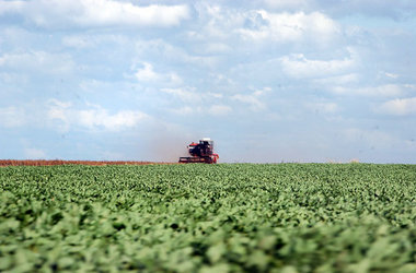 Riesige Flächen mit Monokulturen. Mit den entsprechenden Maschin...