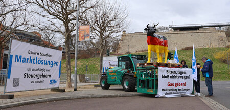 Der Bundesverband Deutscher Milchviehhalter fordert seitens der ...