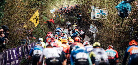 Jetzt wird’s rutschig: Das Peloton erreicht den Koppenberg (31.3...
