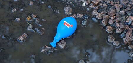 Die AfD-Fraktion im Bundestag schrumpft weiter