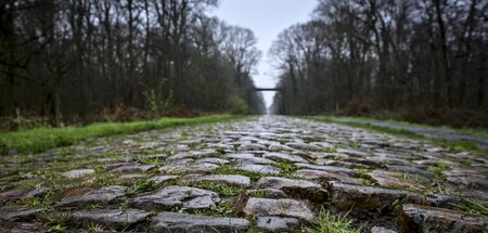 Die Kopfsteinpflaster von Arenberg (6.4.2023)