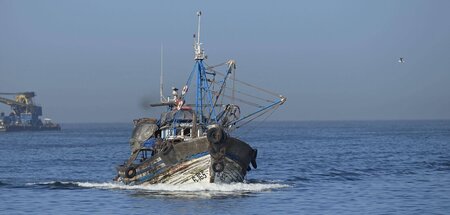 Fischerboote müssen sich bis Ende Juli 2024 in den Gewässern der... Fischerboote müssen sich bis Ende Juli 2024 in den Gewässern der...