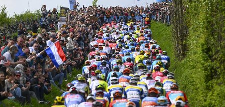 Manchmal kann man nur stillhalten: Das Peloton beim 58. Amstel G...