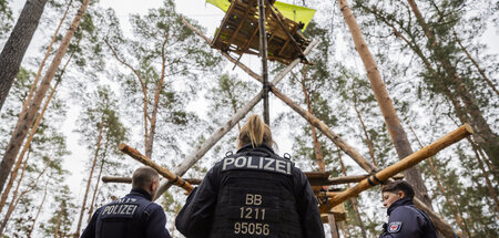 Drohkulisse im Tagestakt: Uniformer Kontrollgang im Kiefernwald ...