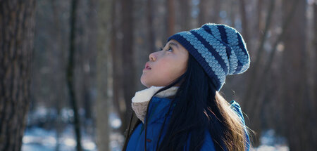 Bilder und Bäume: Hana (Nishikawa Ryo)