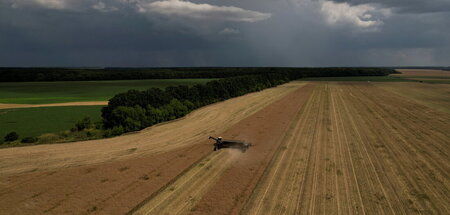 Ukraine Agriculture.JPG