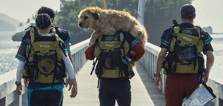 Auf den Hund gekommen: Team und Teamneuling Arthur (M.) Auf den Hund gekommen: Team und Teamneuling Arthur (M.)