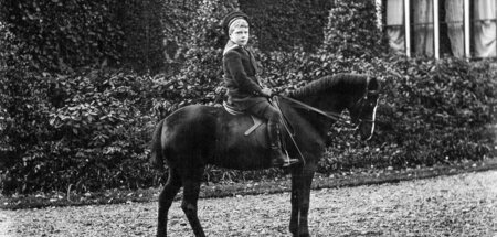 Alles, nur kein Schimmel