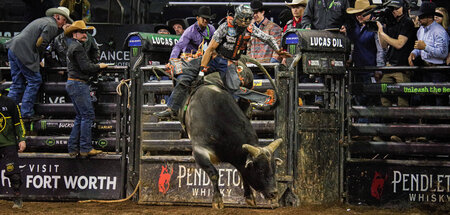 Ganz oben: Cassio Dias reitet zur Weltmeisterschaft