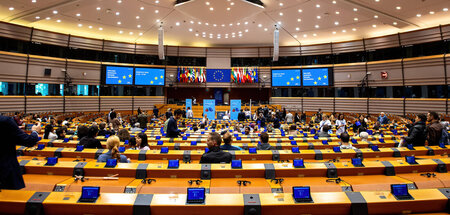 Der Ausschluss aus der ID-Fraktion schwächt den Teil der AfD, de...