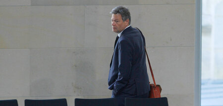 Hat einen Hang zum Individualtrip, meinen Kritiker: Bundeswirtsc...