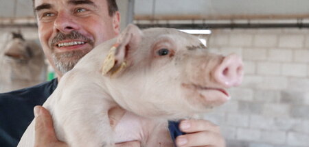 Ferkel 6003 muss nach 6 Monaten für unseren Fleischbedarf sterbe... Ferkel 6003 muss nach 6 Monaten für unseren Fleischbedarf sterbe...