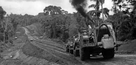 Schneisen der Zerstörung durch den Wald schlagen: Straßenbau im ...