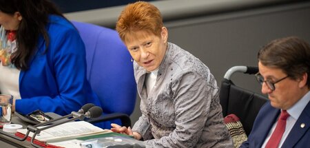 Petra Pau will eine Volksabstimmung zum Grundgesetz erwirken (Be...