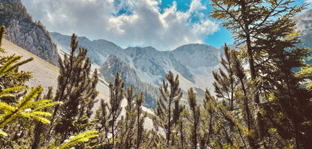 Machtvoll erheben die Karawanken sich am gediegenen Lauf der Dra...