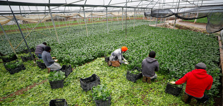 »Leider kein Horrorfilm«: Hunderttausende Migranten ohne Papiere...