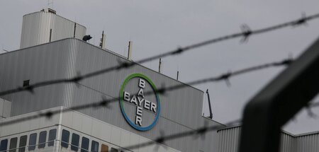Der Pillendreher will sich räumlich ausweiten, ein Areal mit gün...